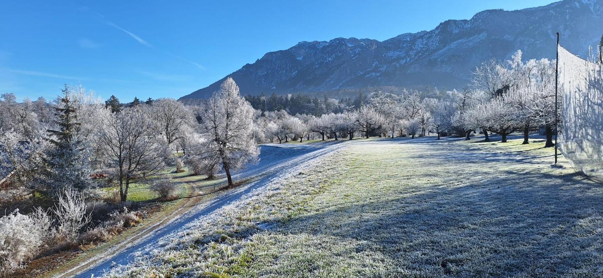 Schlossberghof Marzoll Bad Reichenhall Eksteriør bilde